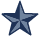 Lasallian Star icon