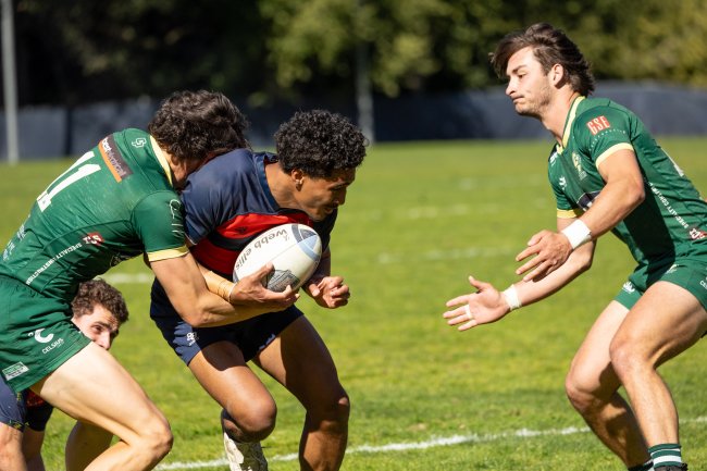 Men's Rugby