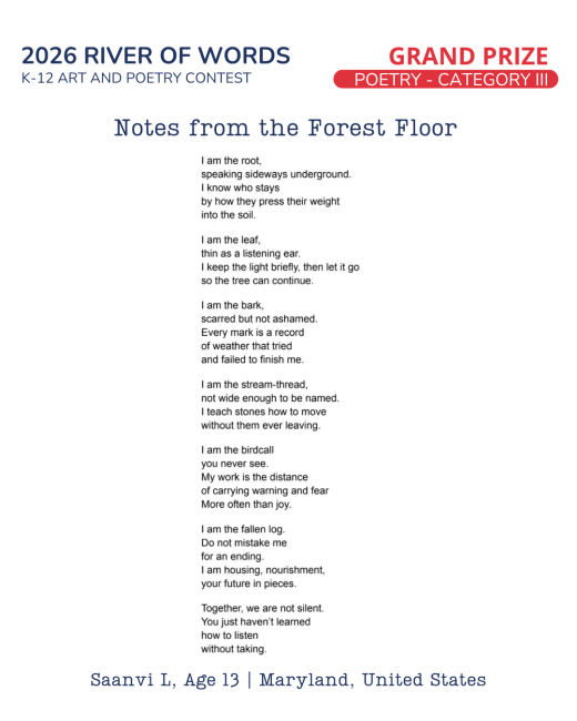 Notes from the Forest Floor