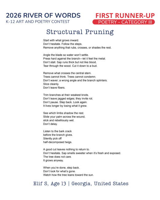 Structural Pruning