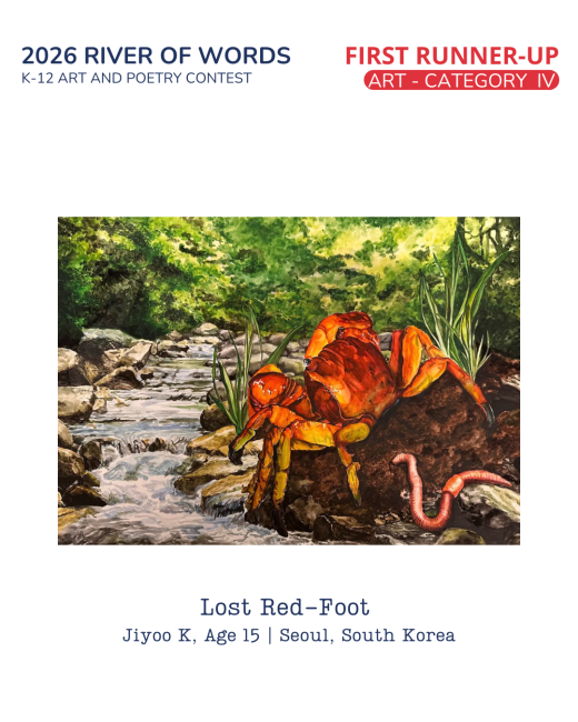 Lost Red-Foot