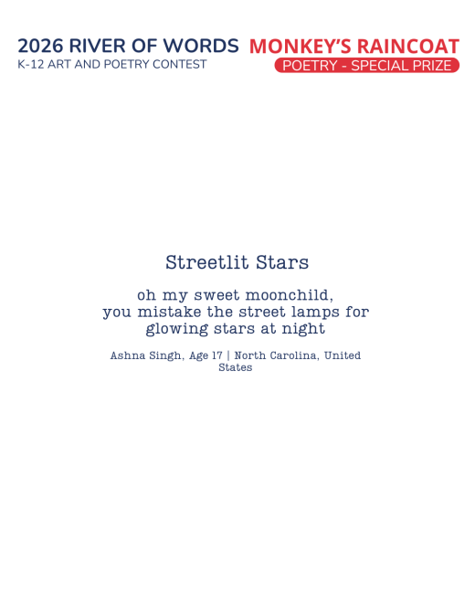Streetlit Stars
