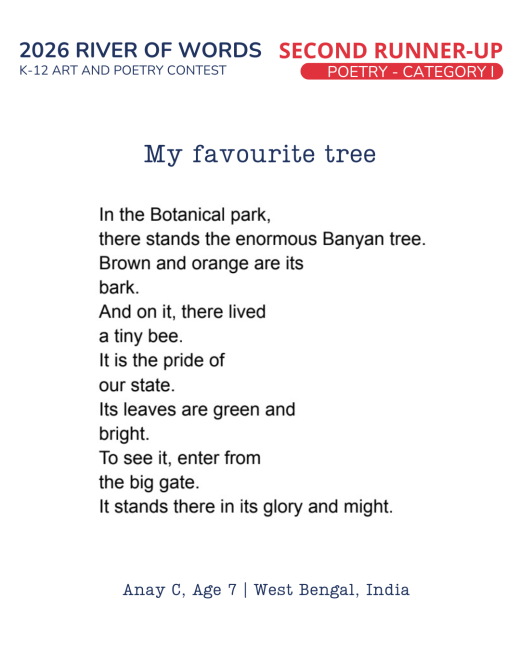 My favourite tree
