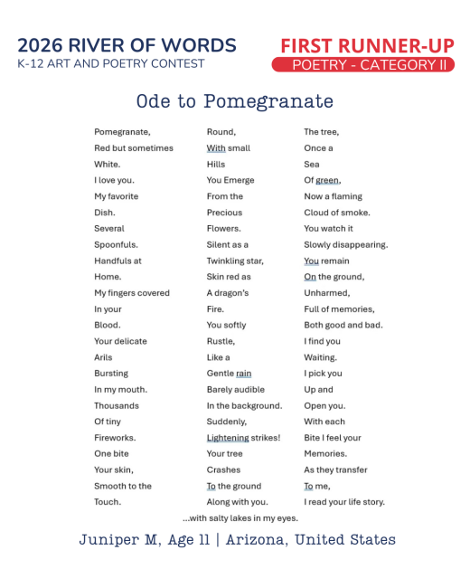 Ode to Pomegranate
