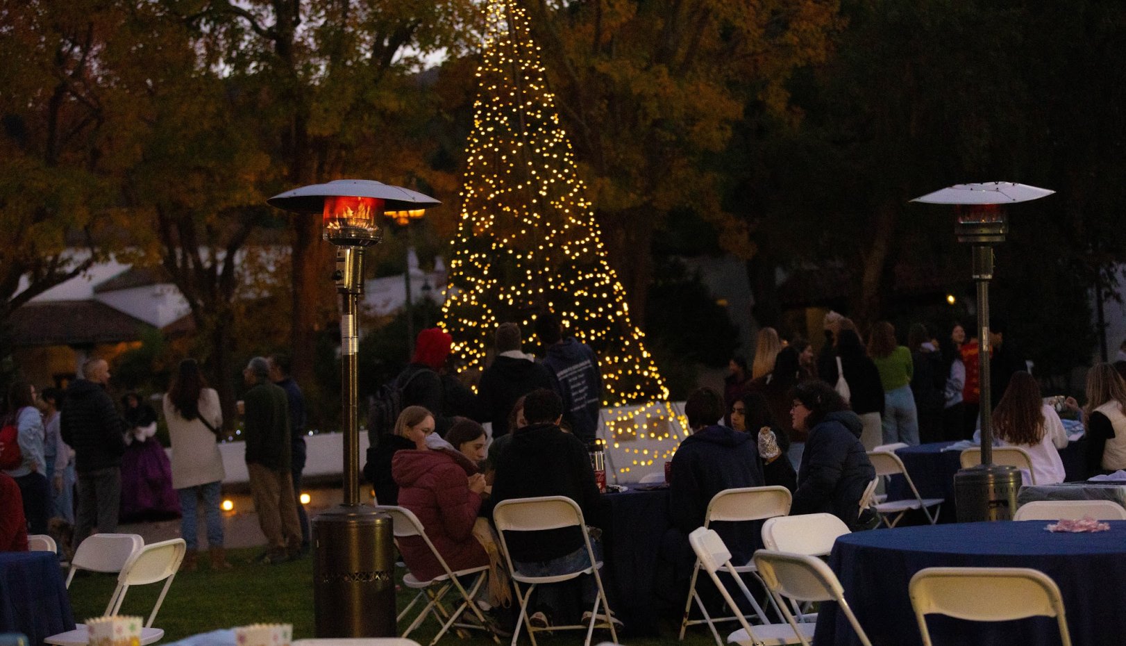 Tree Lighting