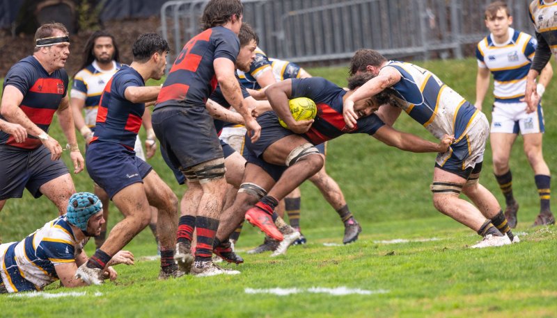 Rugby Player running with  the ball