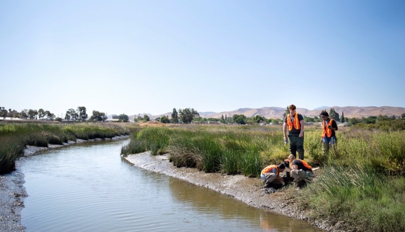 SRp Wetlands Colorful