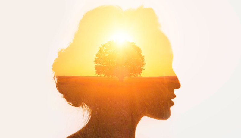 silhouette of a woman's face with a tree and sun masked inside