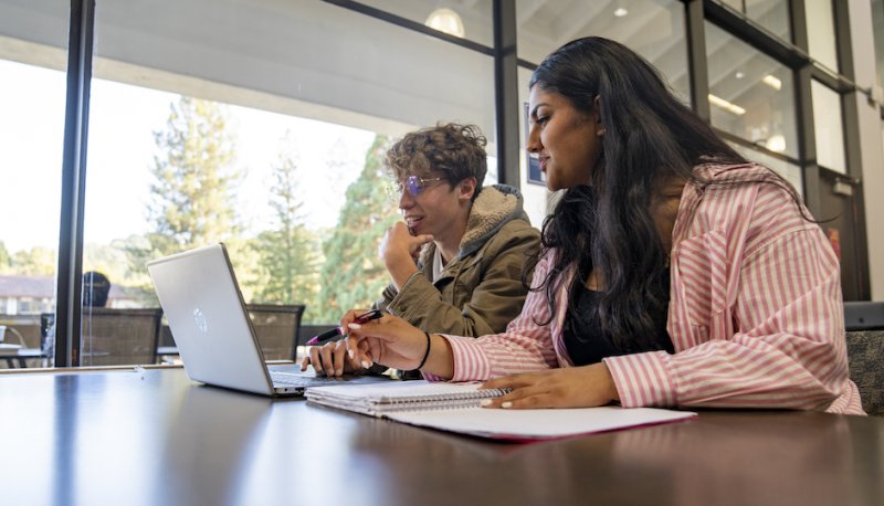 Students studying in the SMC Library