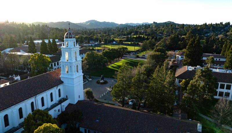 Beauty shot from above