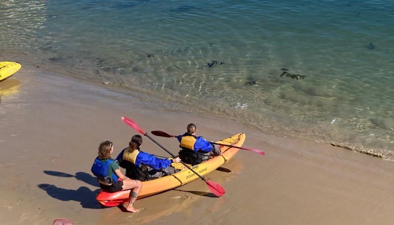 Students in a kayak on the shore learning to paddle