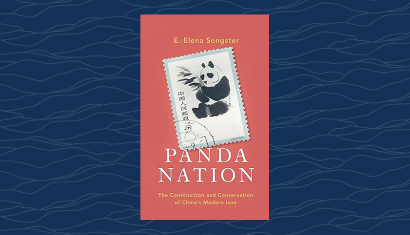 Panda Nation Book Cover