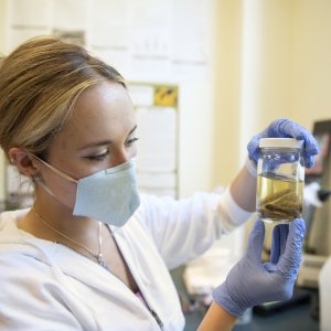 Science student wearing a mask in the lab with a Newt in a jar