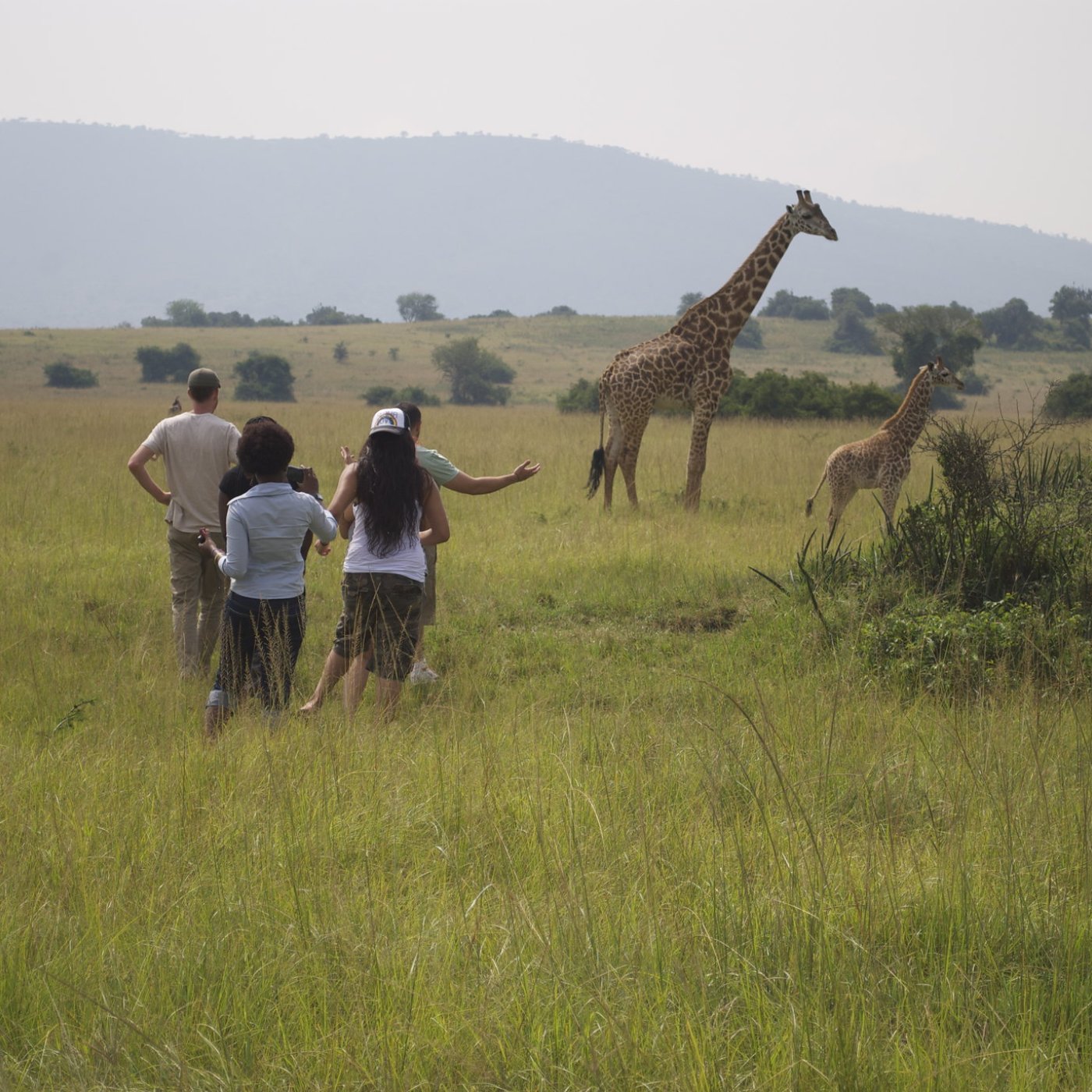 Five SMC students stand and watch an adult and baby giraffe in Rwanda