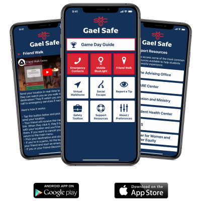 Gael Safe mobile screen
