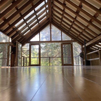 Naturalistic yoga studio with natural light