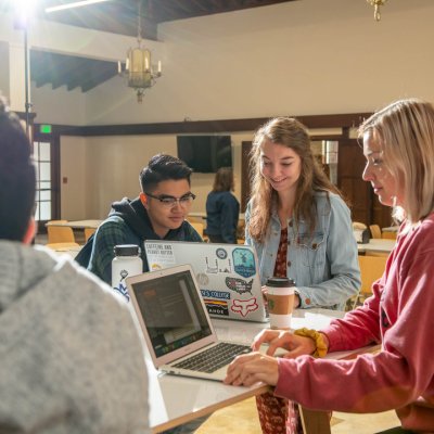 four students studying on laptops