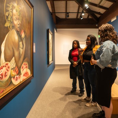 Vistiors at the recent Harmonia Rosales opening at the Museum of Art