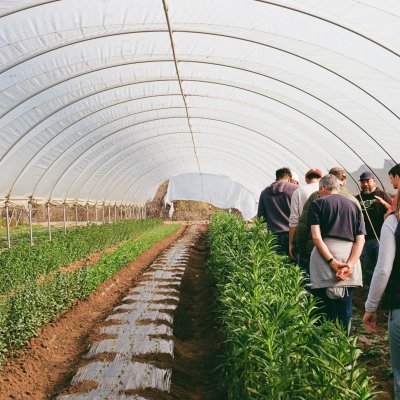 Photo of students talking to Javier Zamora at JSM Organics