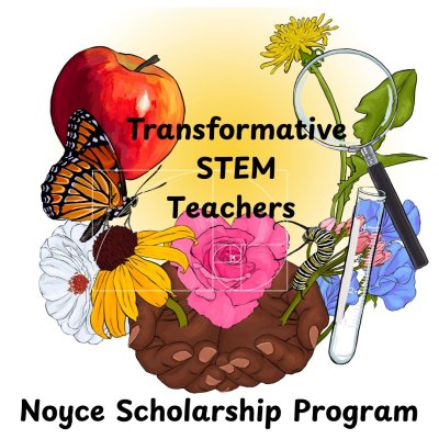 Noyce STEM Scholarship for Teachers