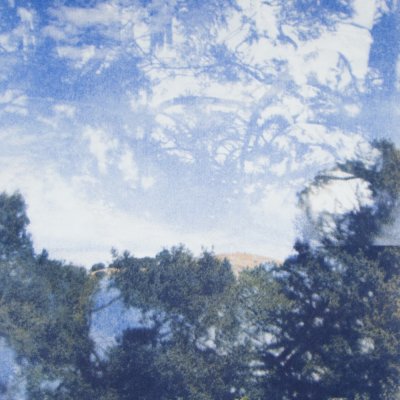 Photo of sky and trees as part of exhibit by Zack Clark