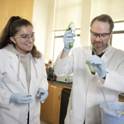 people working in lab