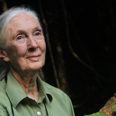 jane-goodall headshot