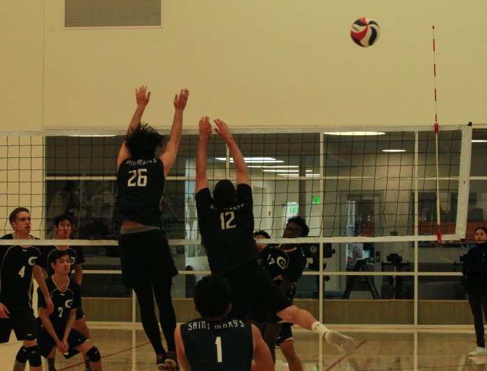 Mens Volleyball Photo