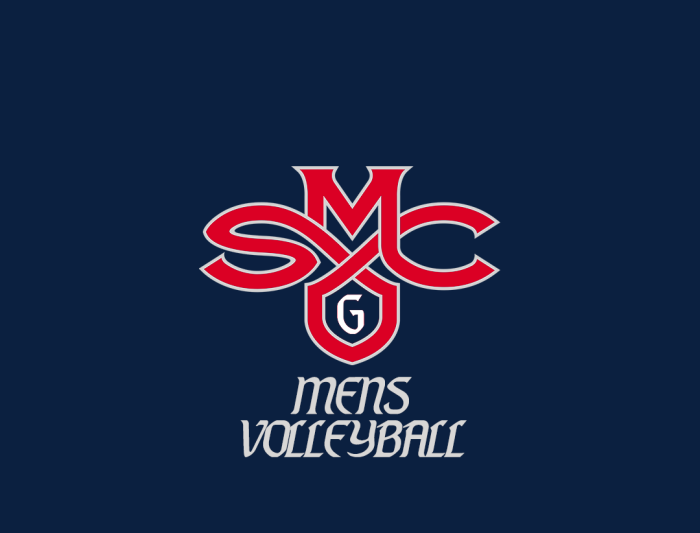 Mens Club Volleyball Logo 