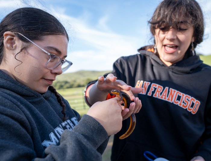 Students in Pesavento's Jan Term class examine a newt