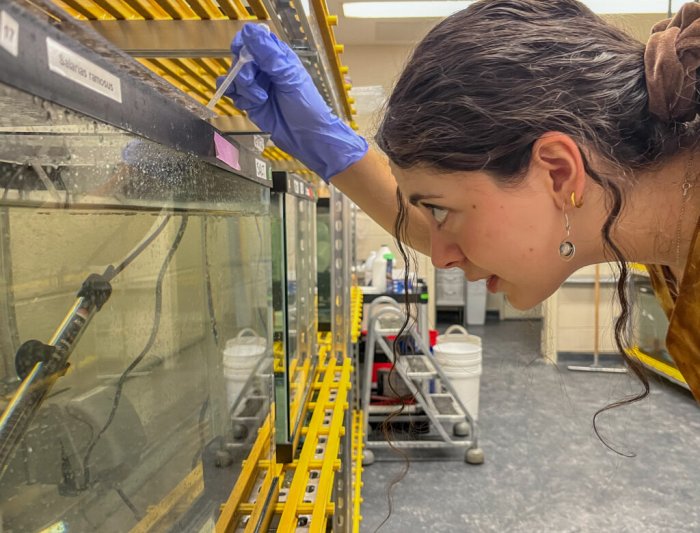 Sofia Yildirim '27 placing structure in fish tank