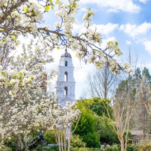 Saint Mary's College Campus in the Spring