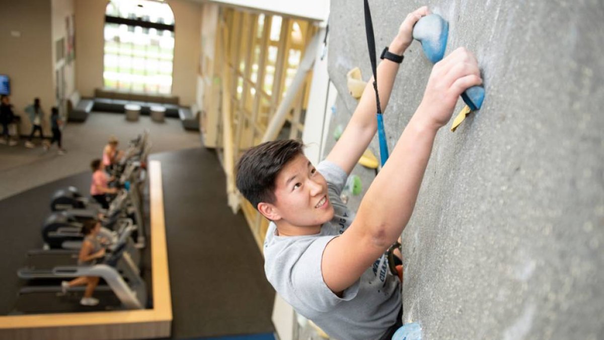 A person rock climbing in a gym