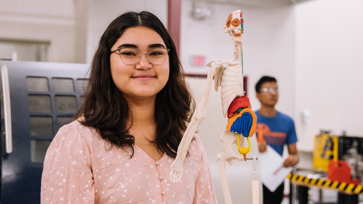 A student studying a layered model of the human body