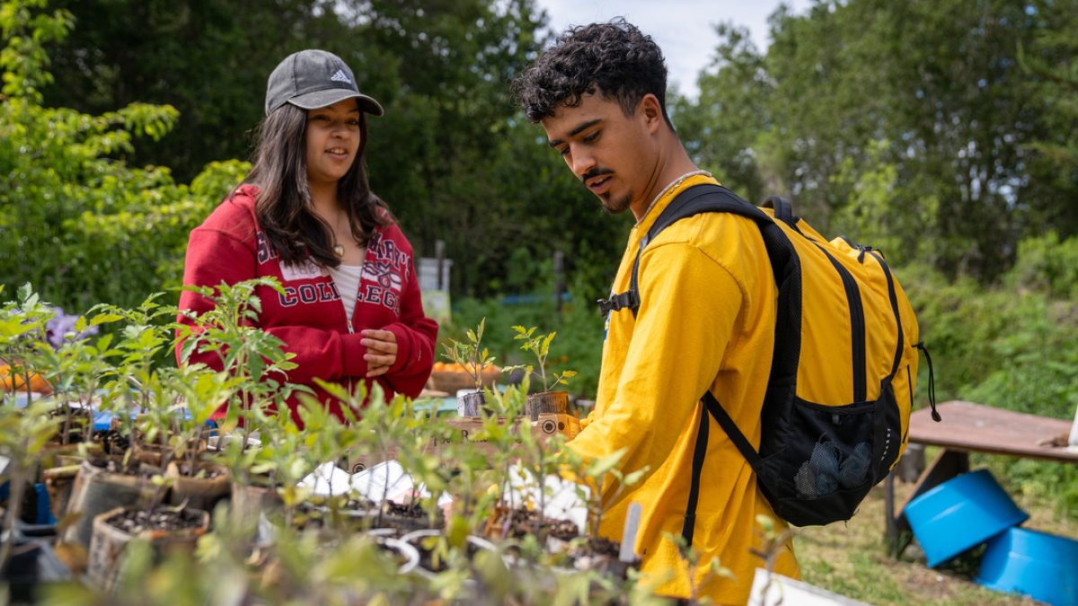 male and female student looking at the produce in the legacy garden