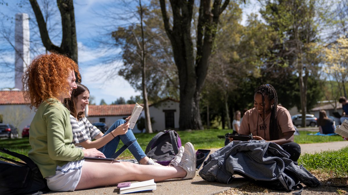 Students outside studying